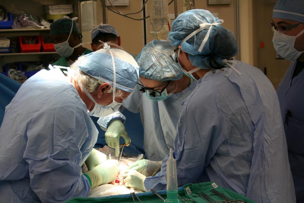 Personal sanitario en un trasplante