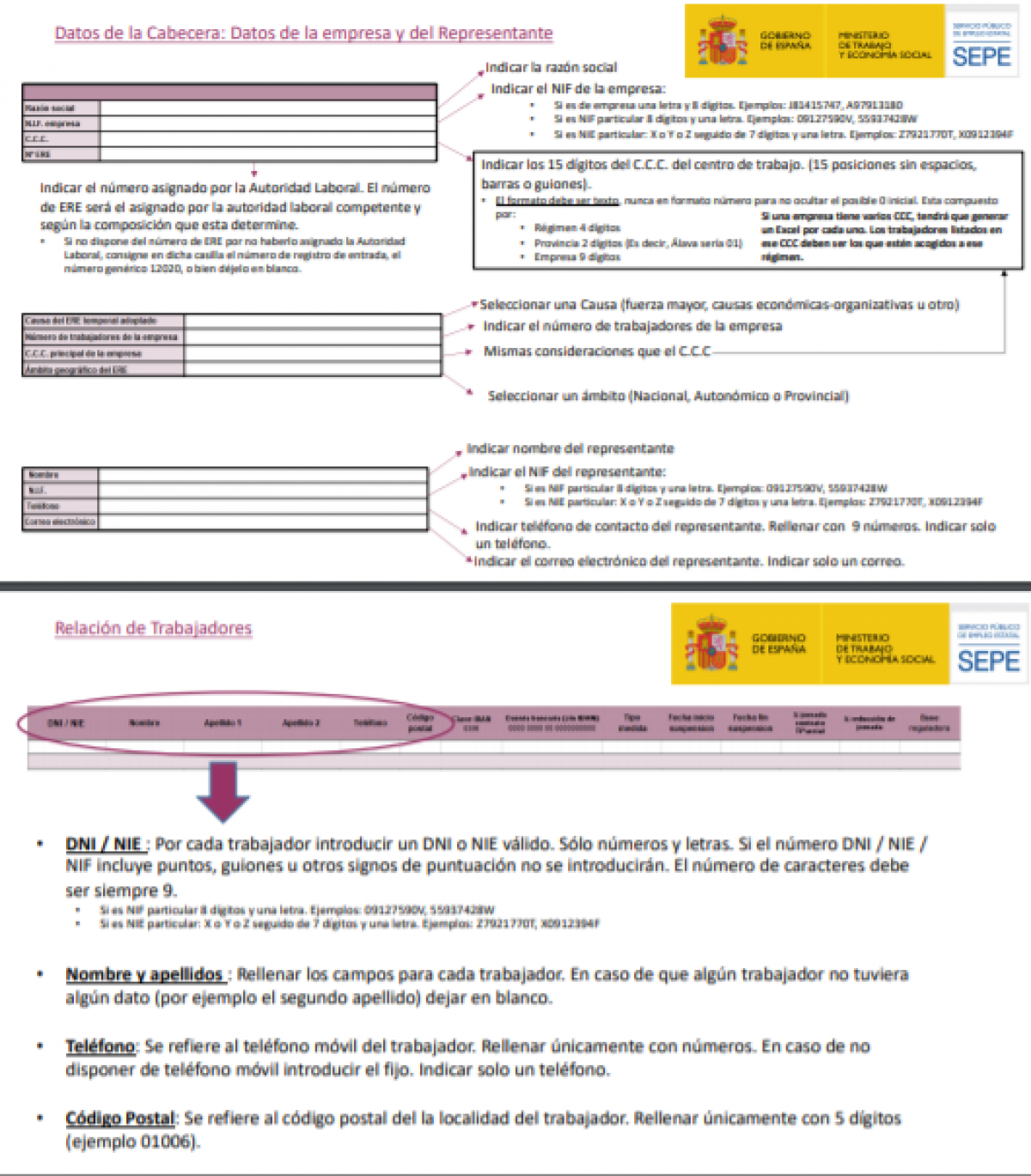 Gua visual para la tramitacin de la solicitud colectiva de prestacin por desempleo